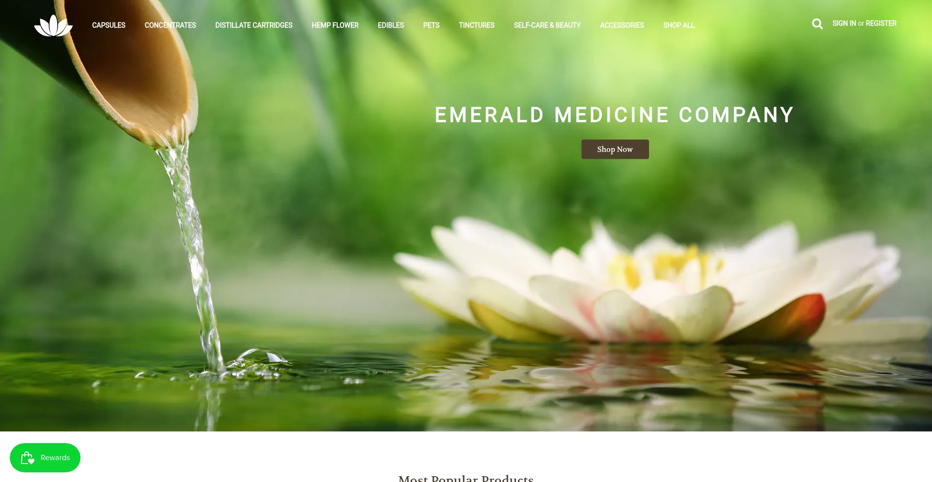 Website screenshot of Emeraldmedco.com