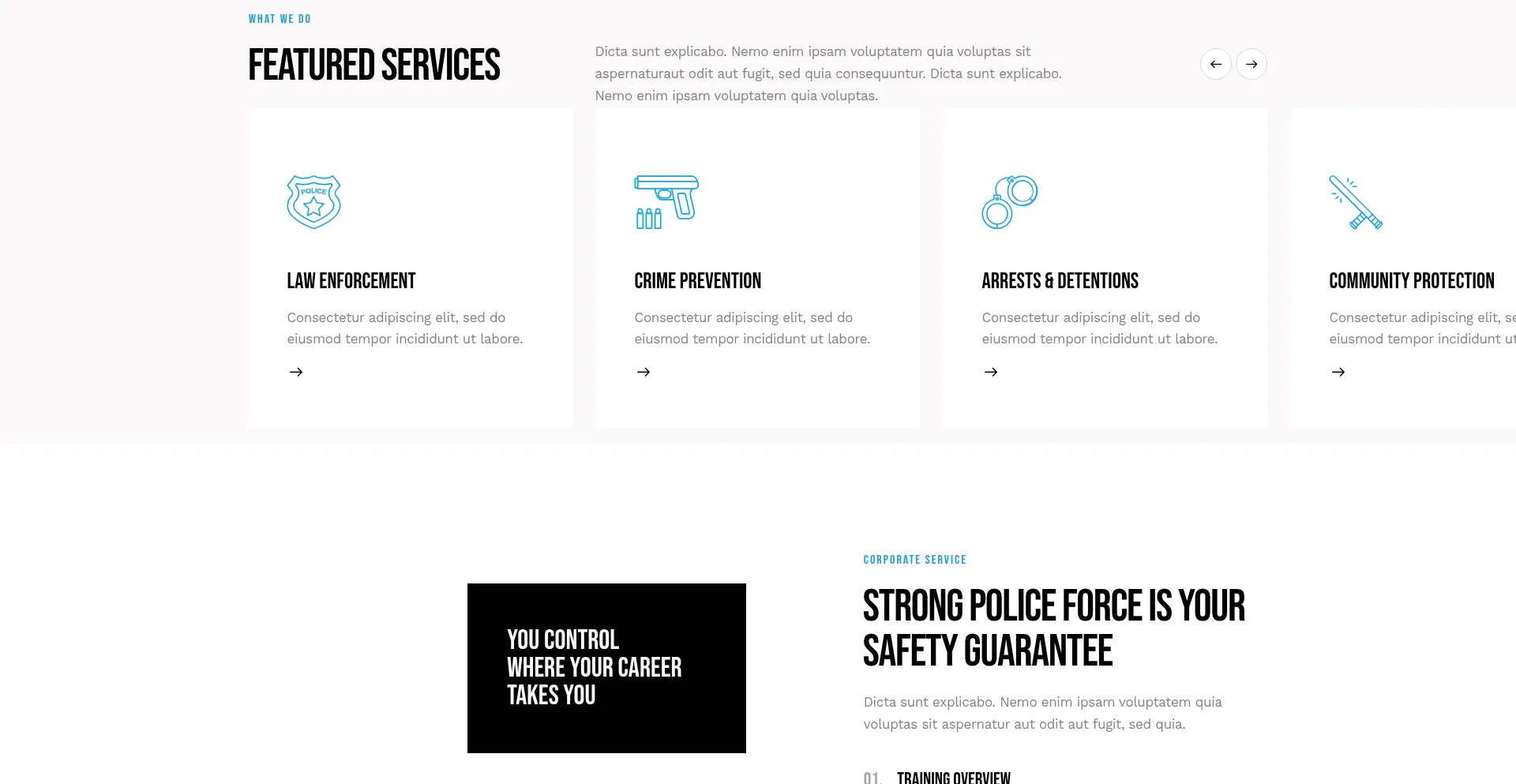 Website screenshot of Emergencybags.net
