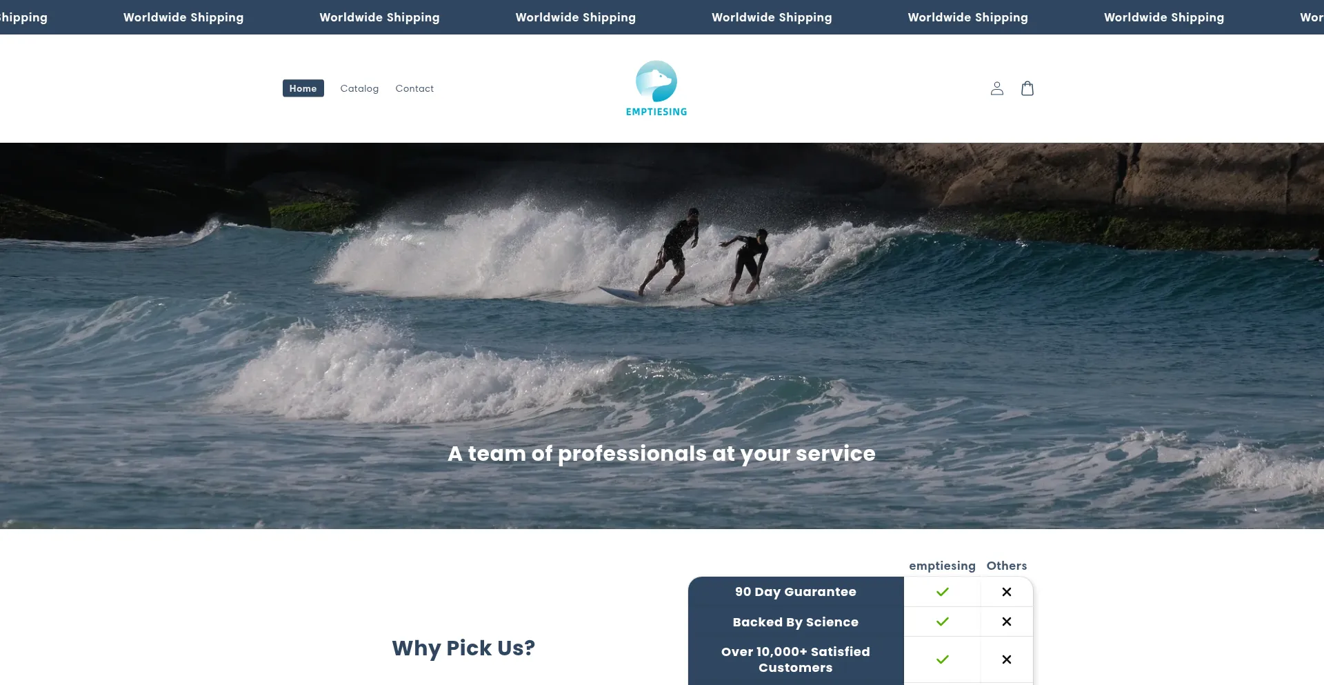 Website screenshot of Emptiesing.com