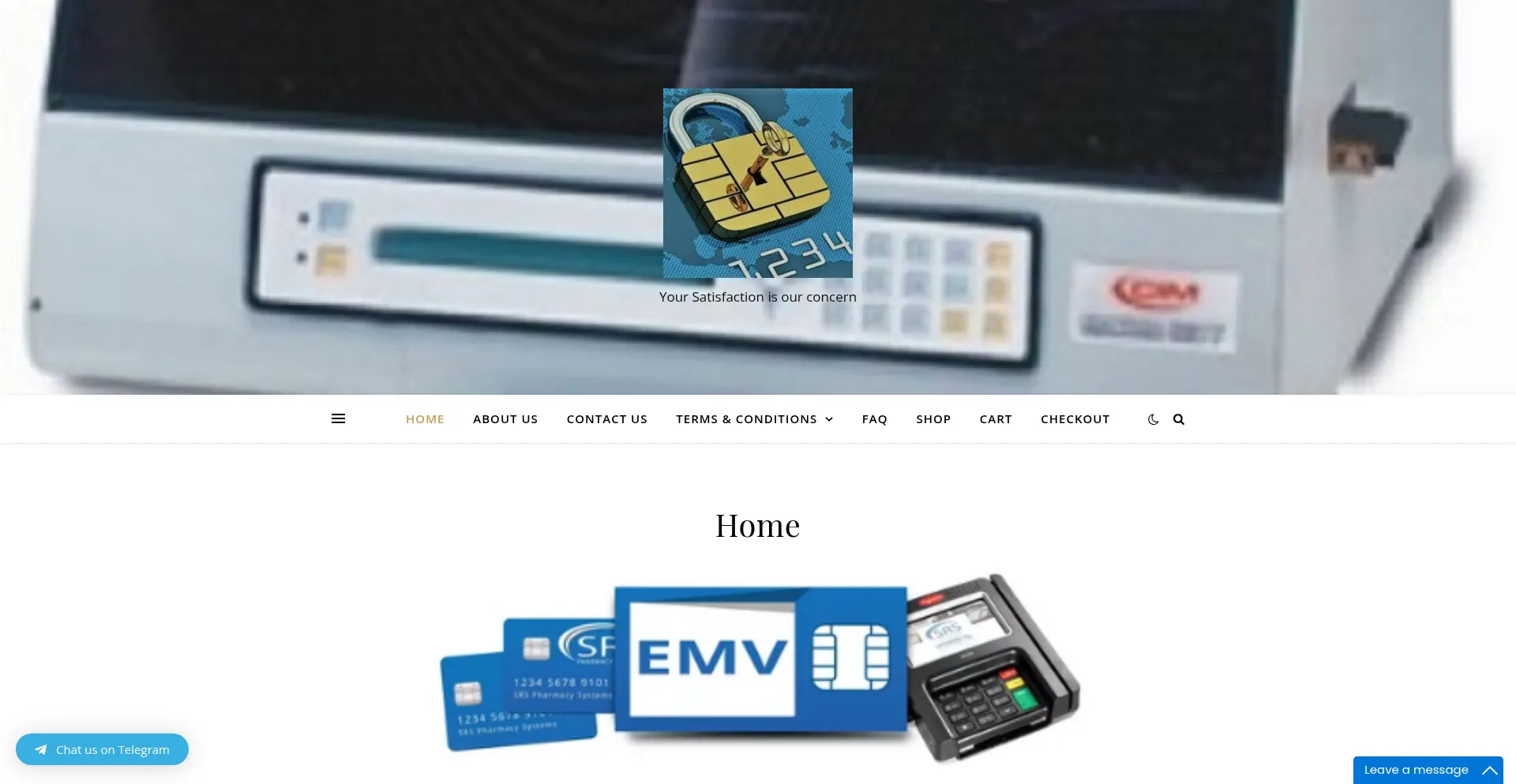 Website screenshot of Emvgsolution.com