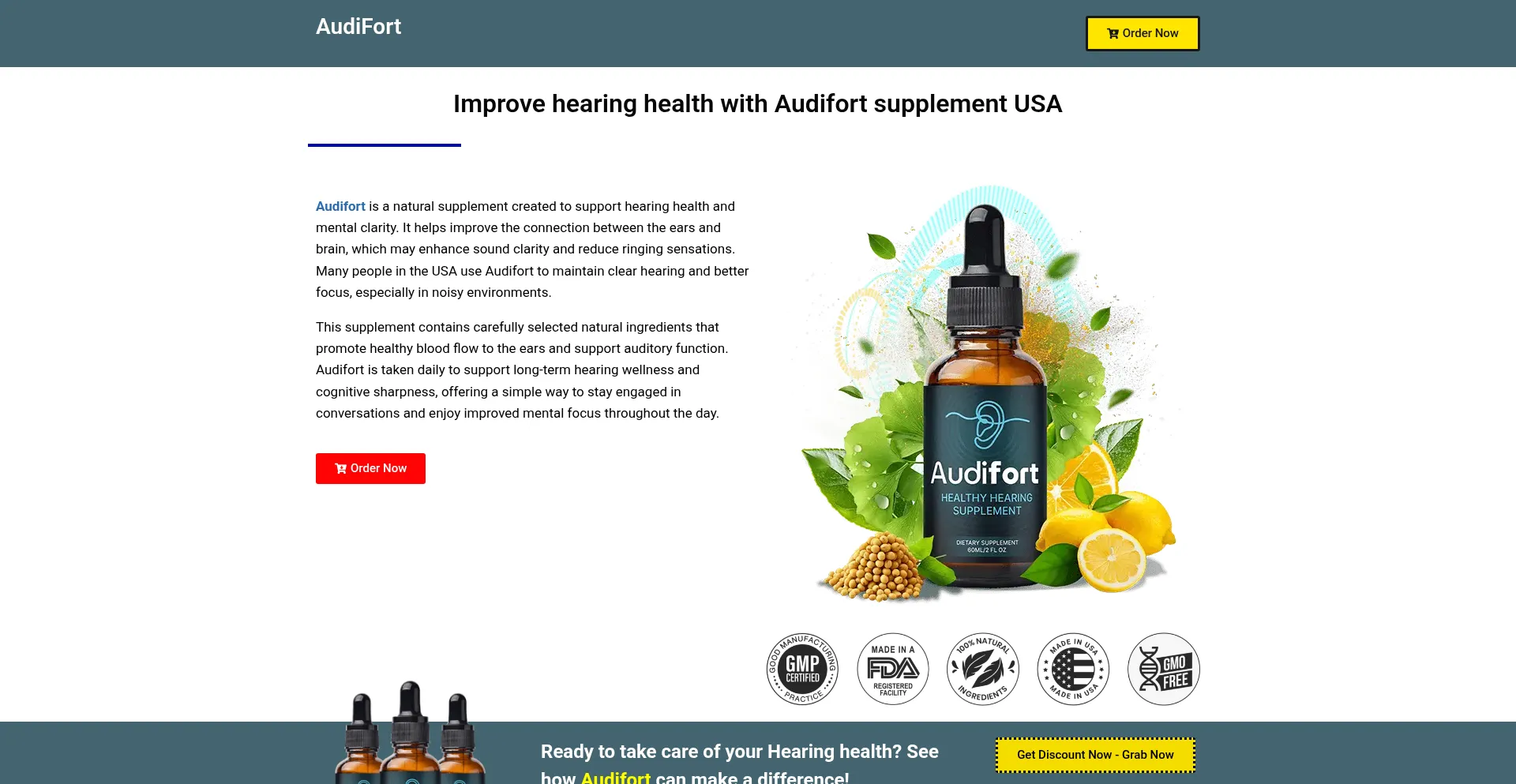 Website screenshot of En-en-en--audifort.com