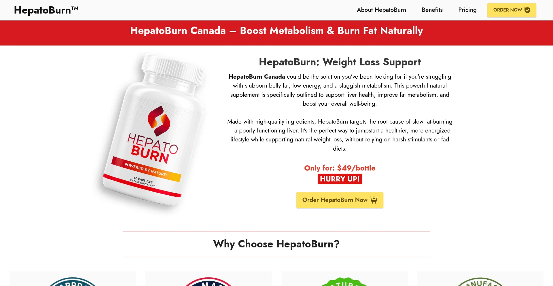 Website screenshot of En-en-hepatoburn.ca