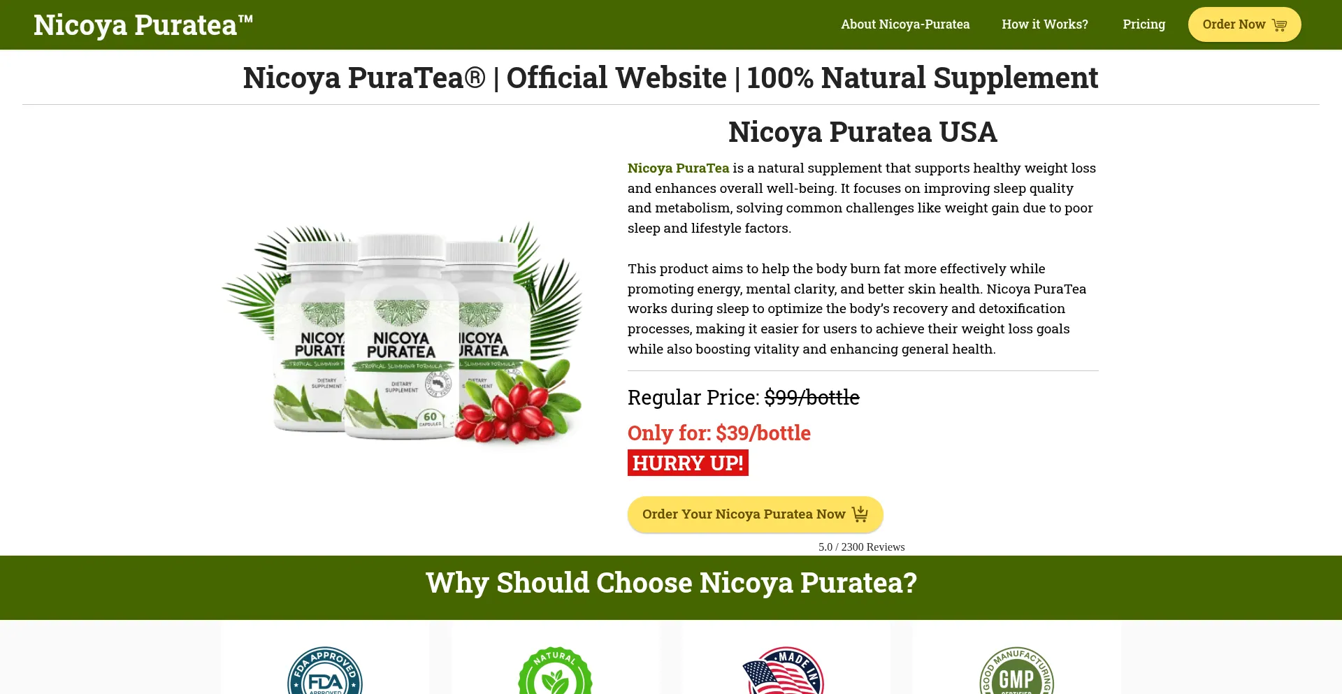 Website screenshot of En-en-nicoya-puratea.com