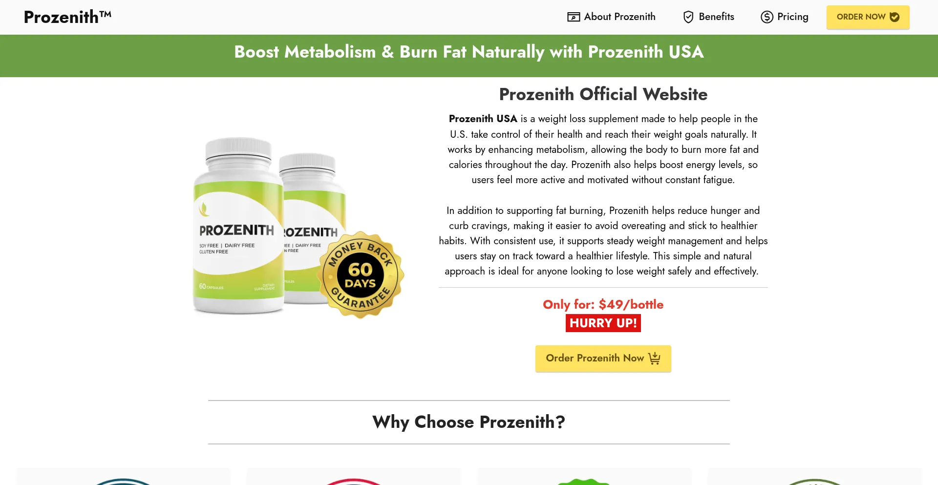 Website screenshot of En-prozenith.us