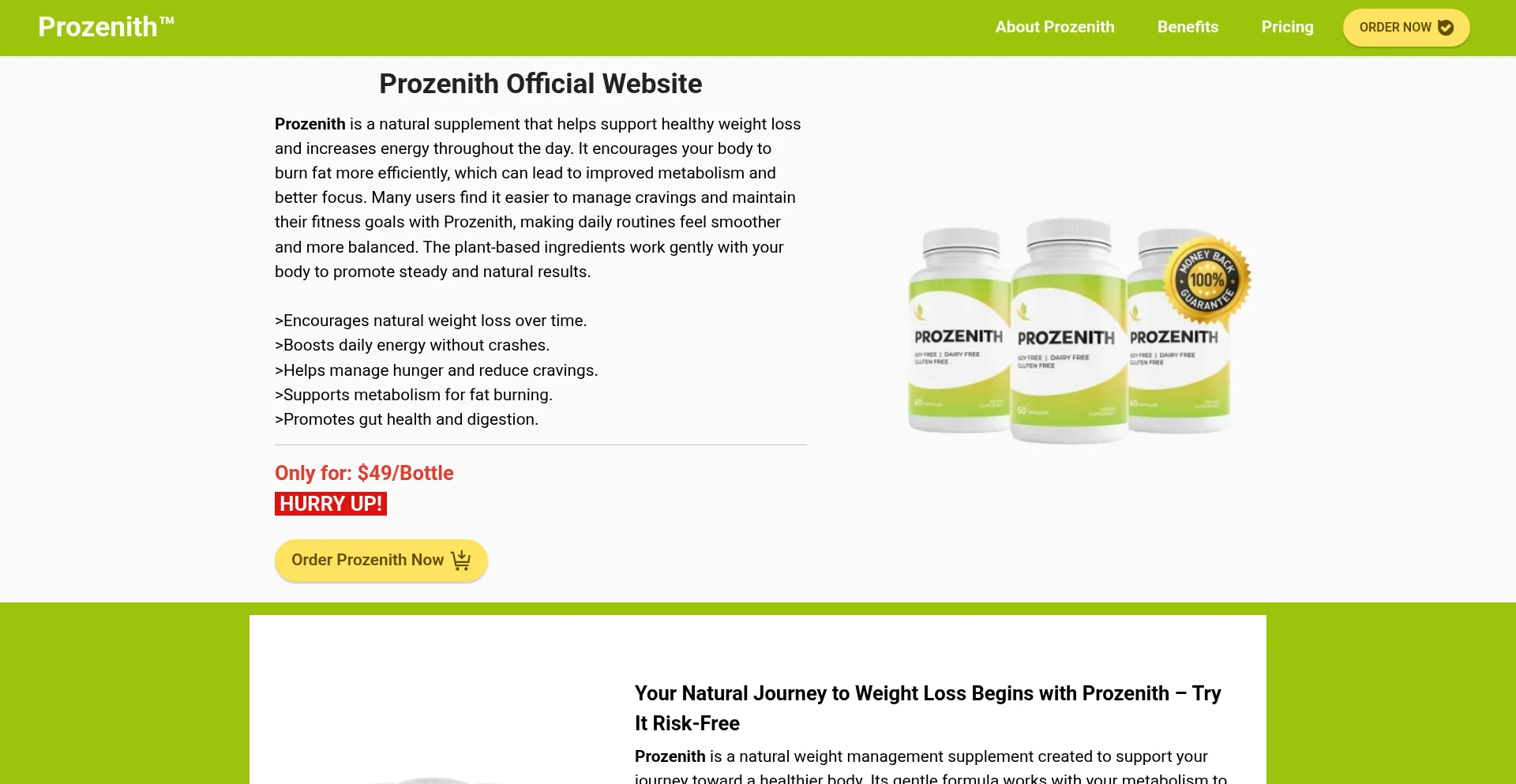 Website screenshot of En-proznith.com