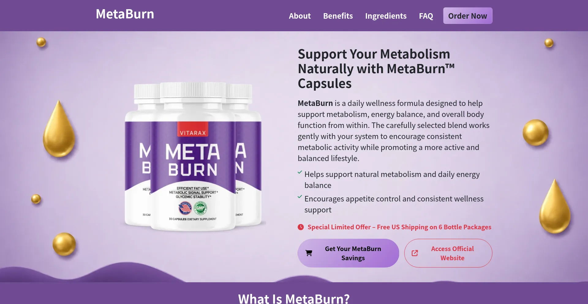 En-us-metaburn.com