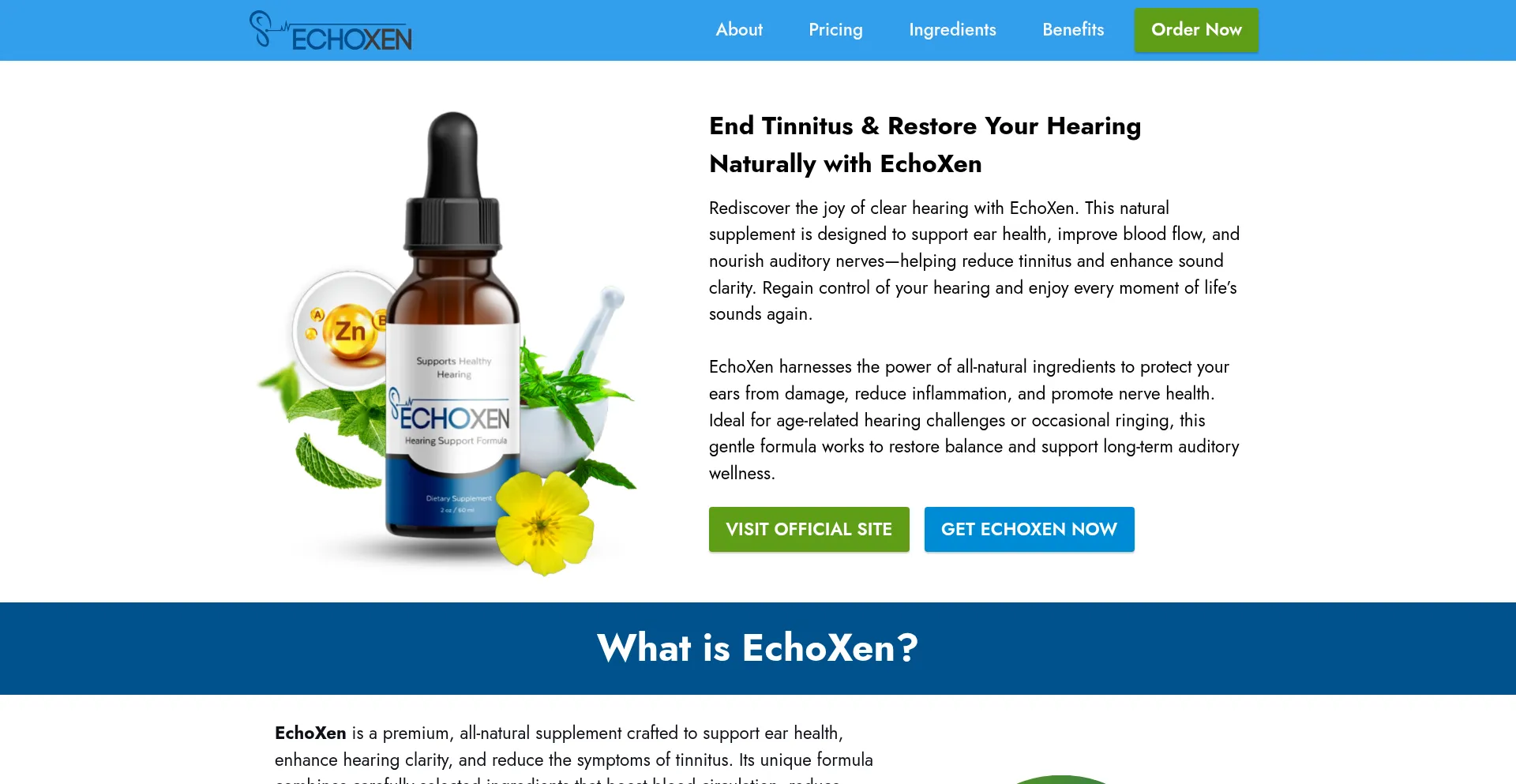 Website screenshot of En-web-echoxen.com