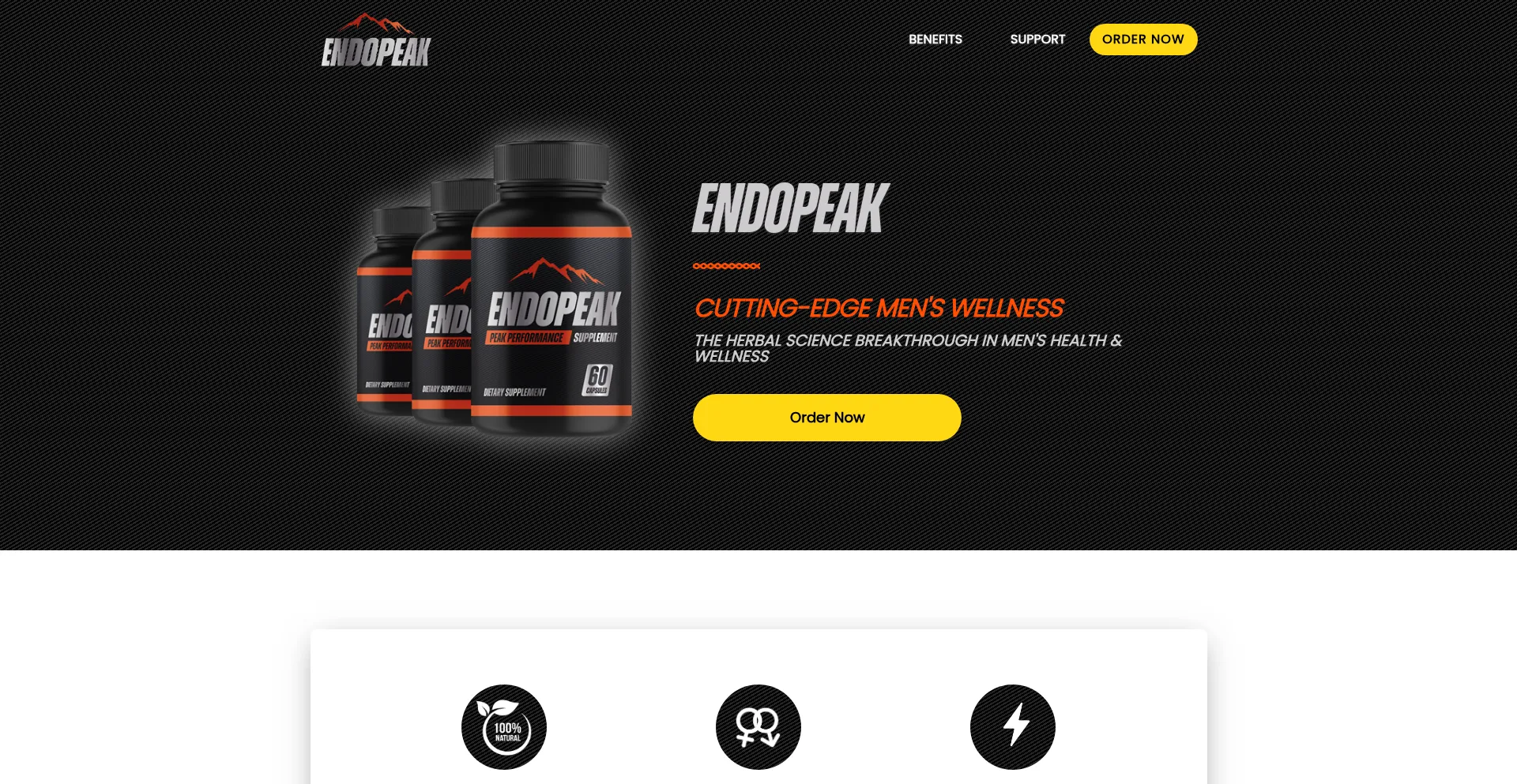 Website screenshot of Endopeak24.com