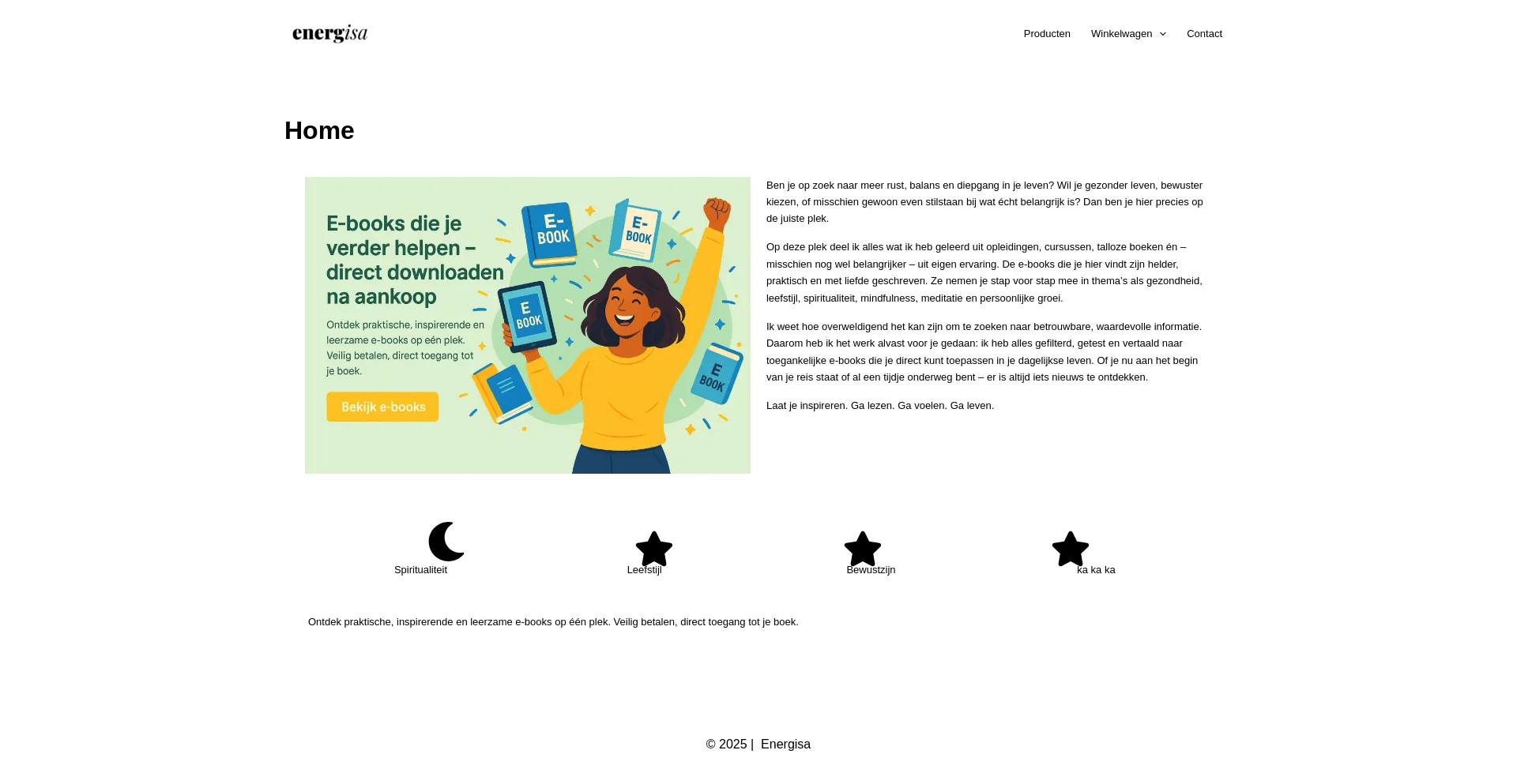 Website screenshot of Energisa.nl