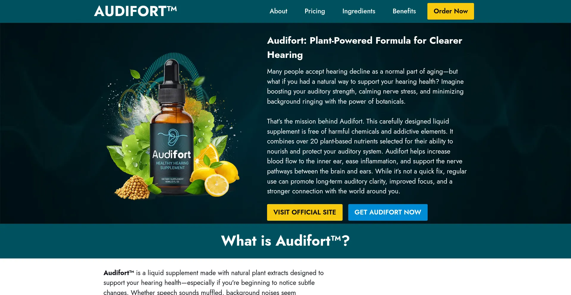 Eng-audifort-usa.com
