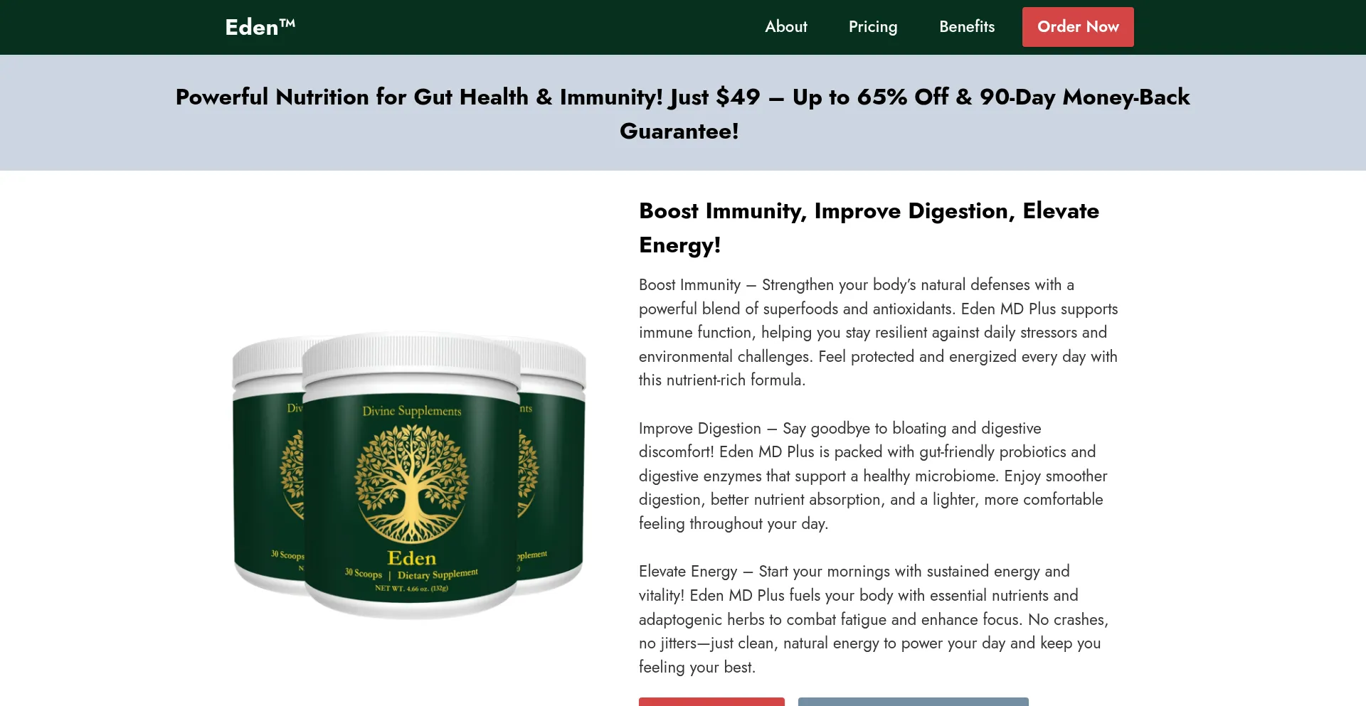 Website screenshot of Eng-en-eden.com