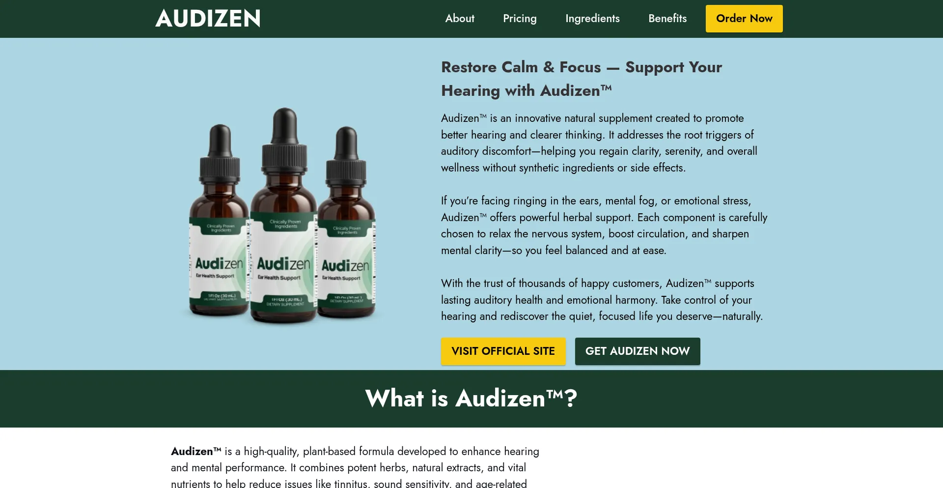 Website screenshot of Eng-eng-usa-audizen.com