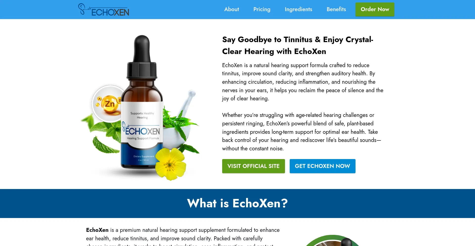 Website screenshot of Eng-usa-echoxen.com