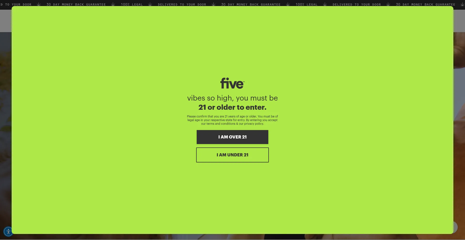 Website screenshot of Enjoyfive.com
