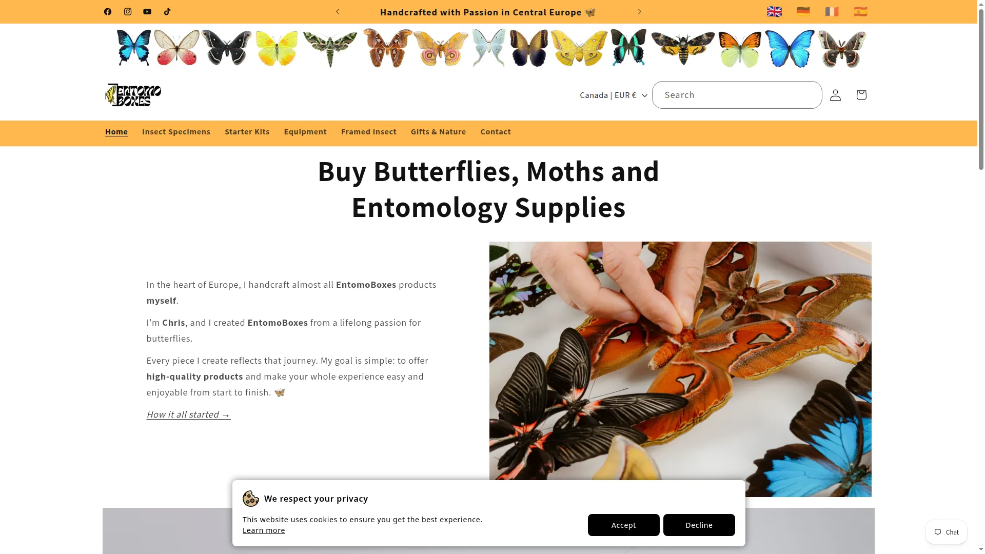 Entomoboxes.com
