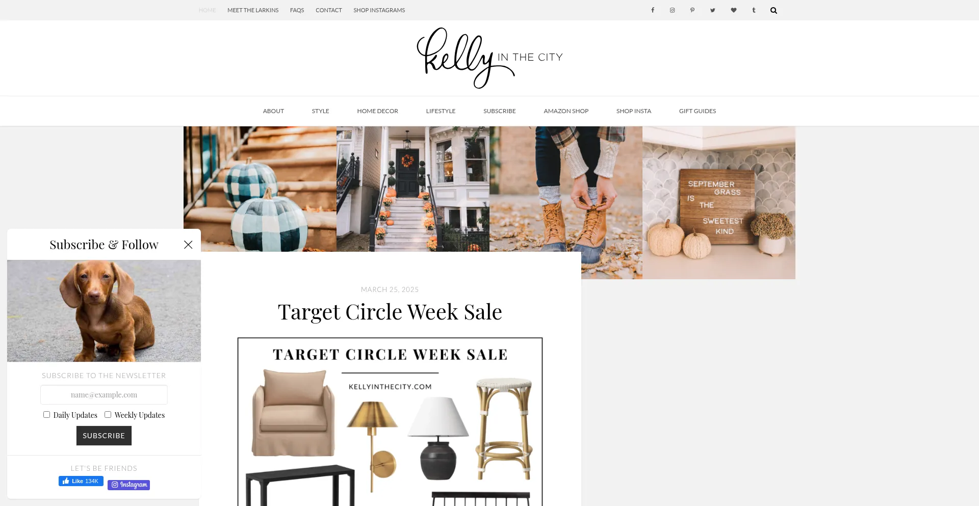 Website screenshot of Entysee.info