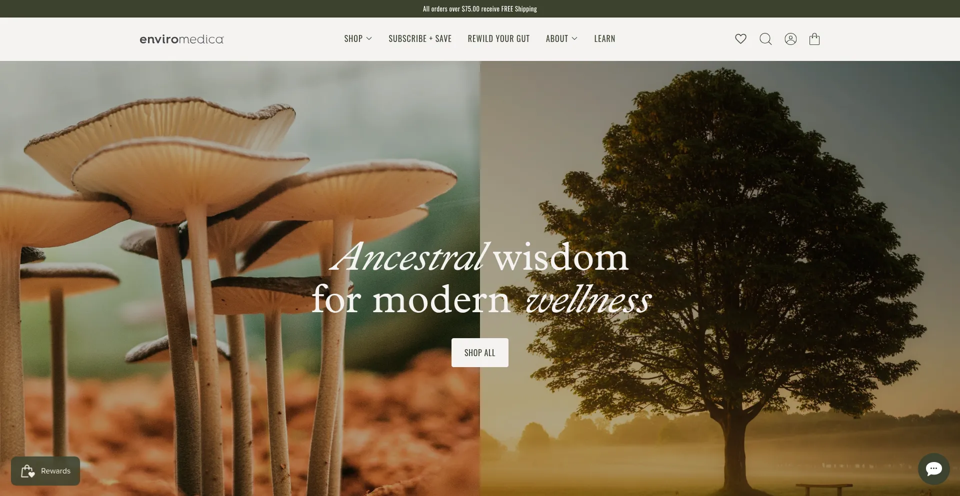 Website screenshot of Enviromedica.com