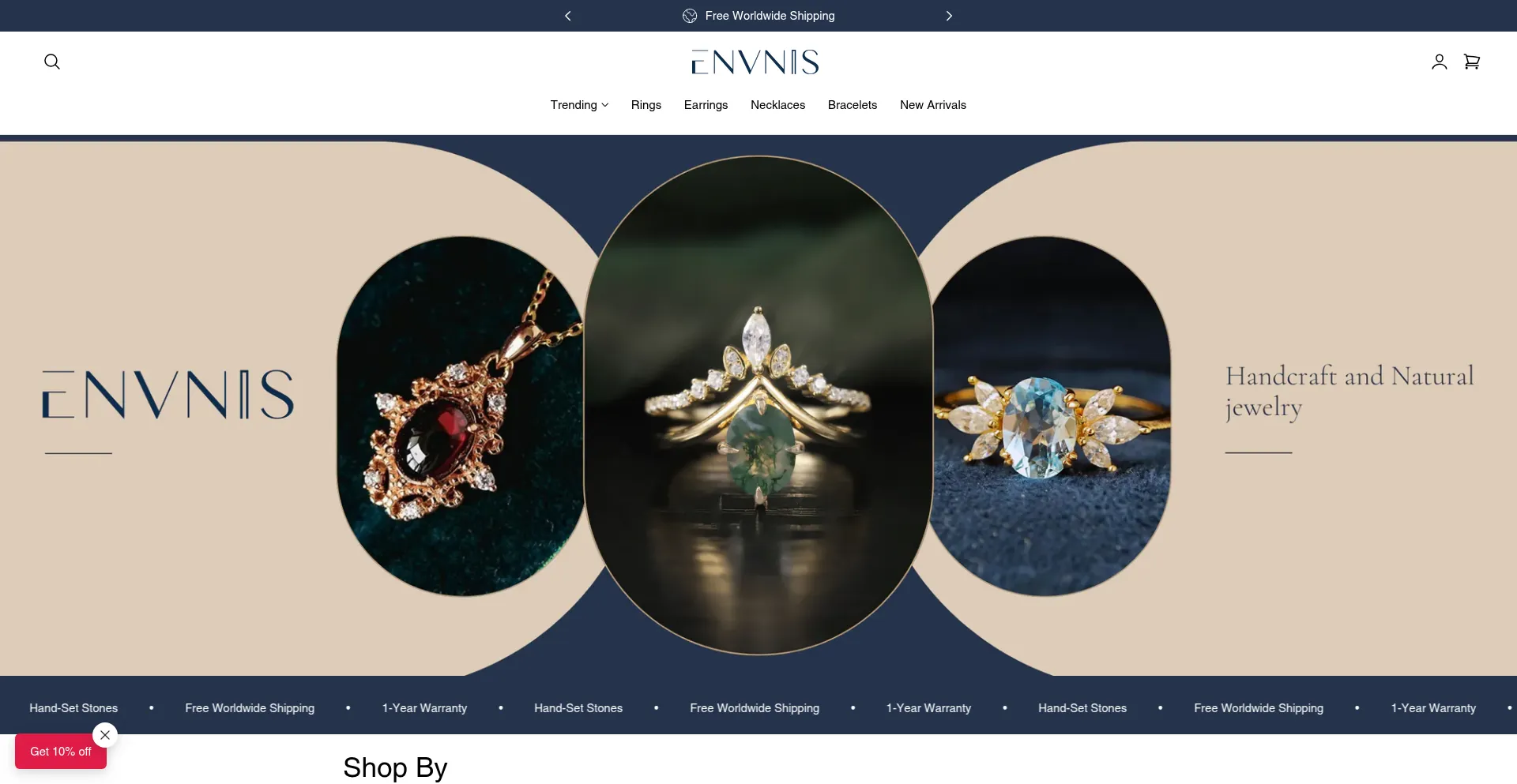 Website screenshot of Envnis.com