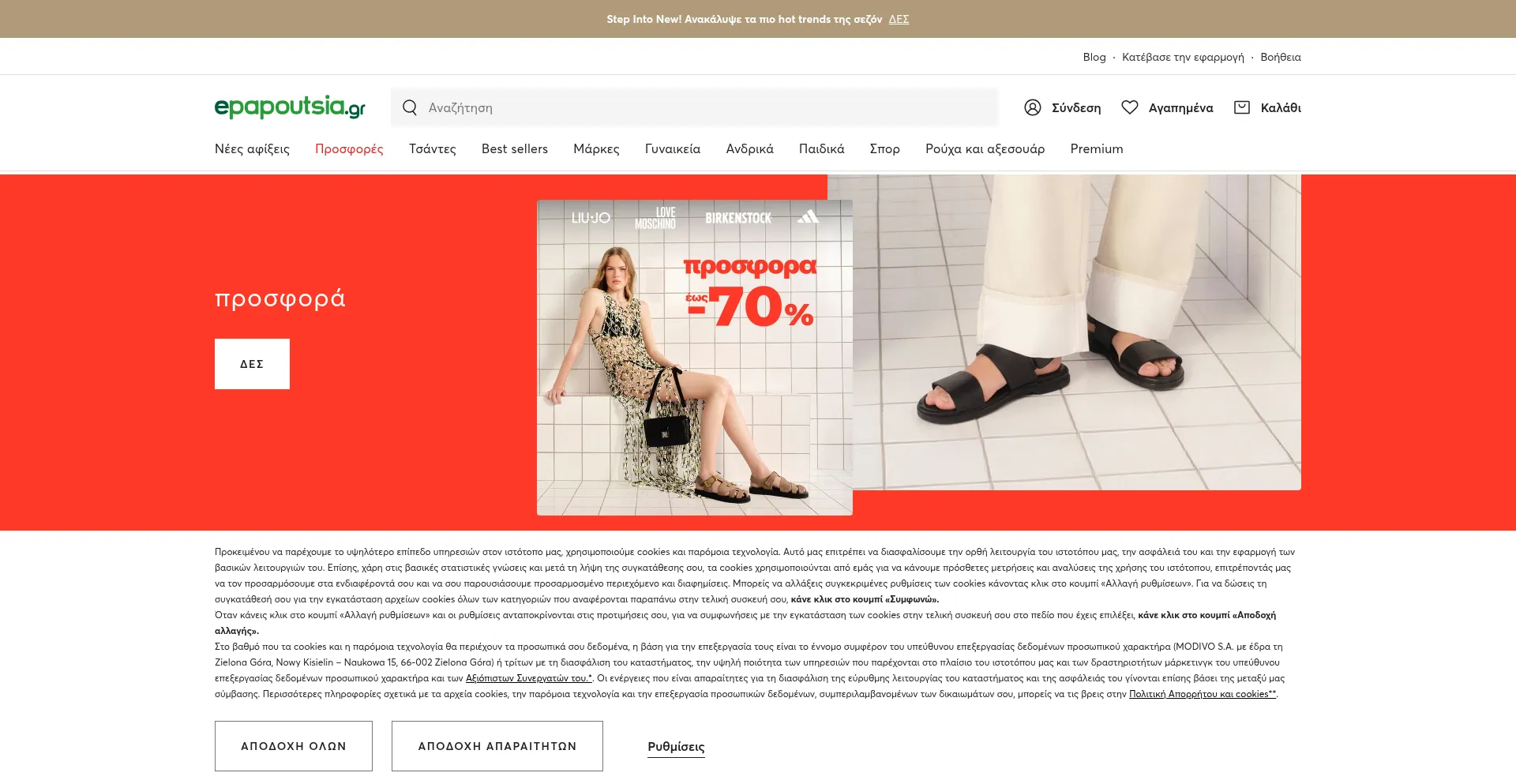Website screenshot of Epapoutsia.gr