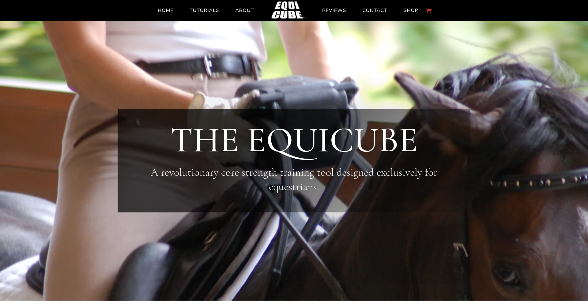 Website screenshot of Equicube.net