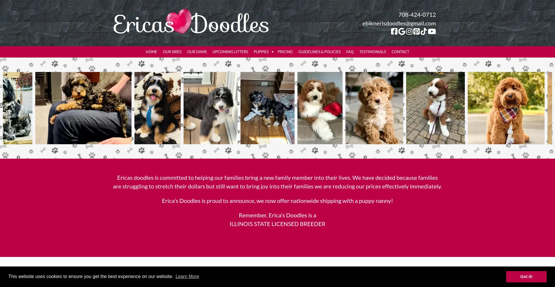 Website screenshot of Ericasdoodles.com