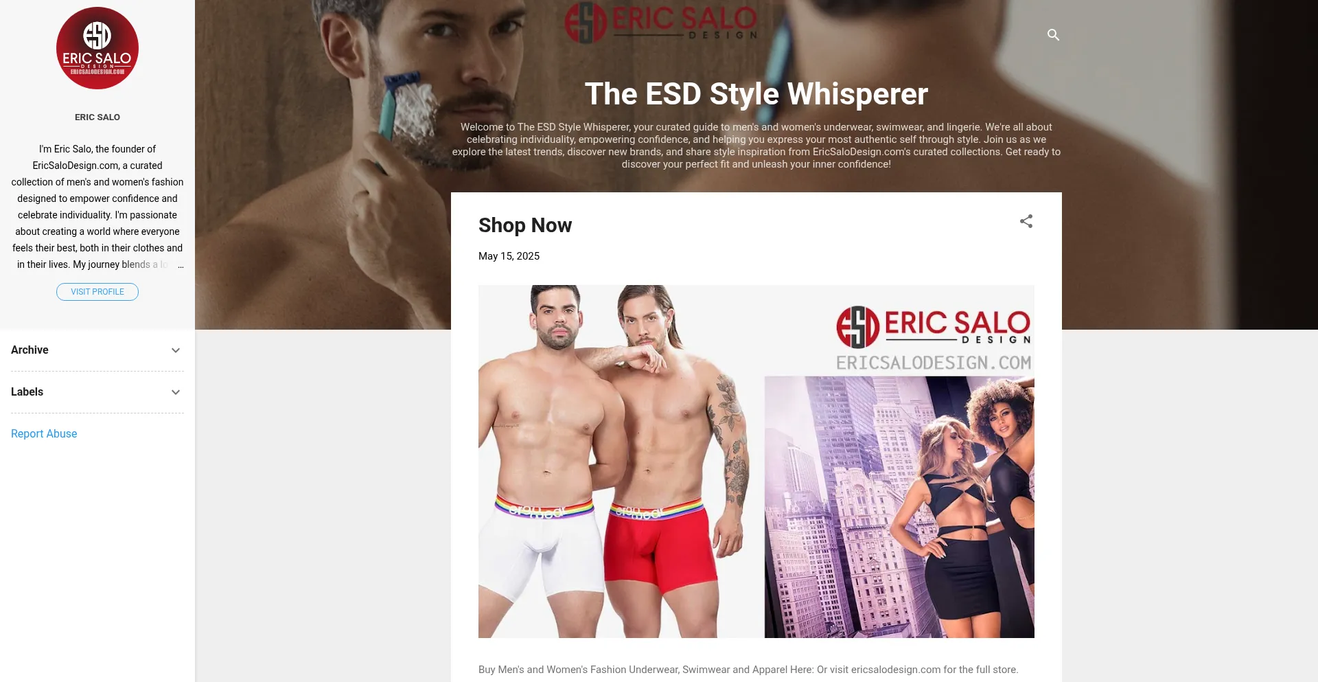 Website screenshot of Ericsalodesigncom.blogspot.com