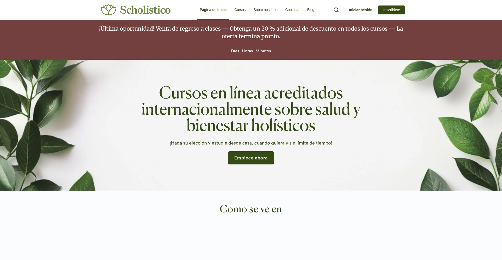 Website screenshot of Es.scholistico.com