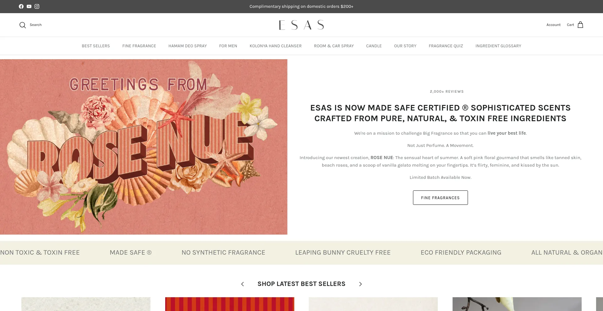 Website screenshot of Esasnyc.com