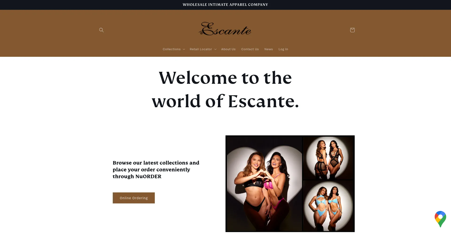 Website screenshot of Escante.us