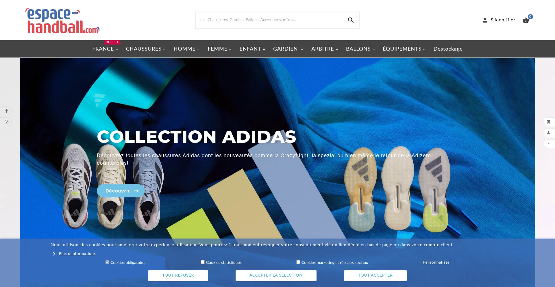 Website screenshot of Espace-handball.com
