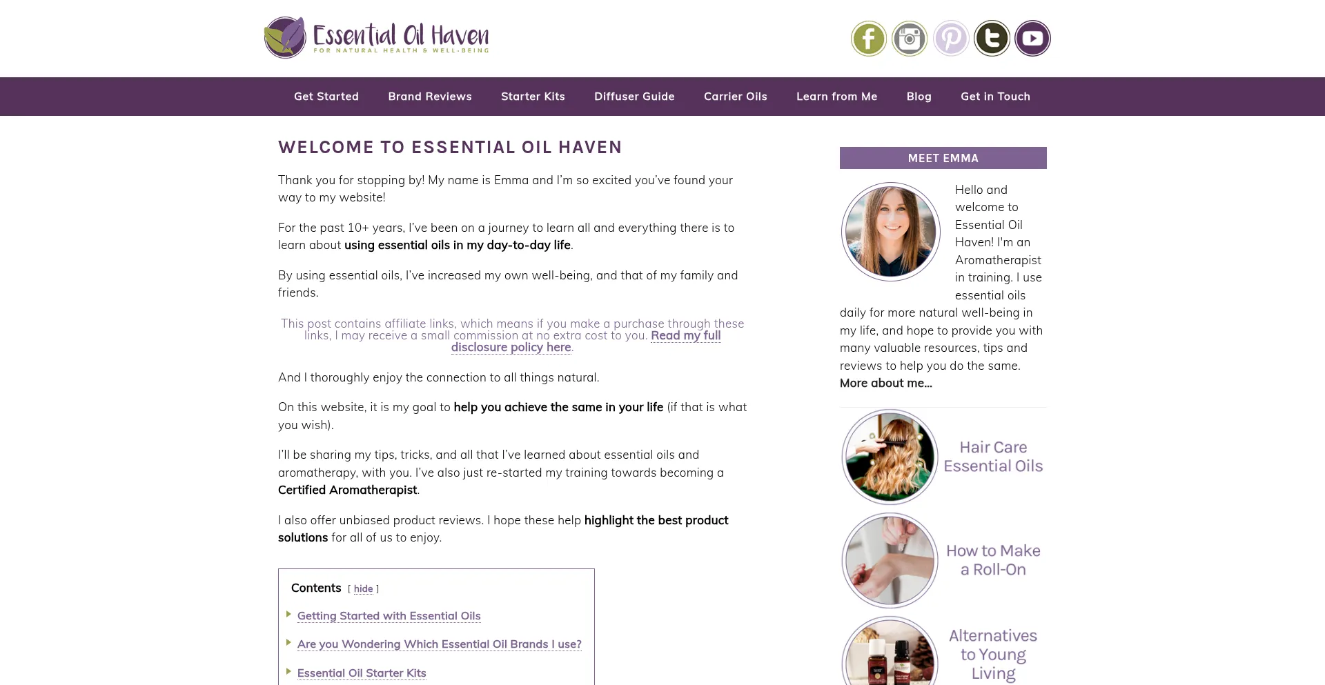 Website screenshot of Essentialoilhaven.com
