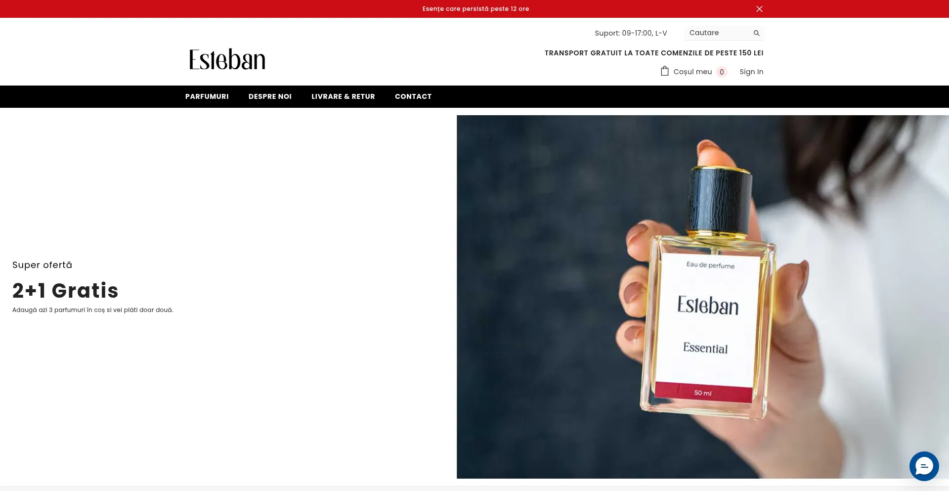 Website screenshot of Esteban.ro