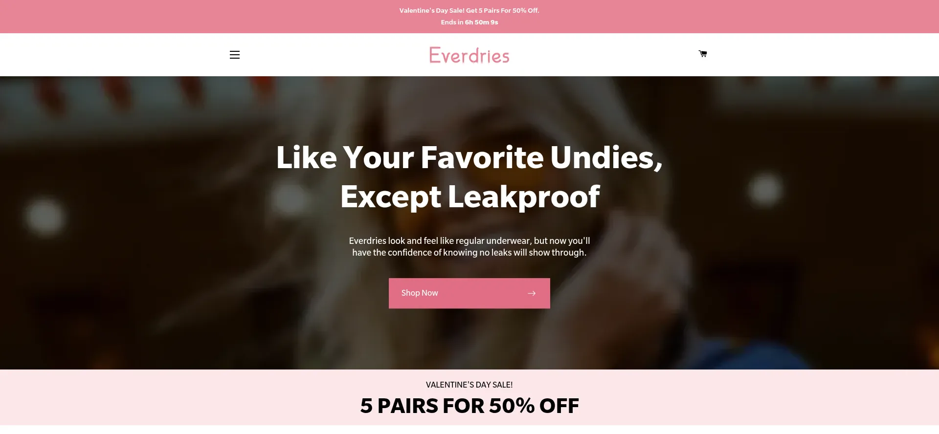Website screenshot of Everdries.com