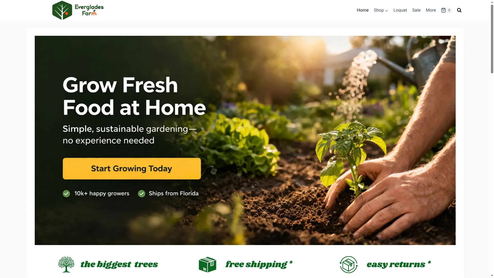 Evergladestrees.com