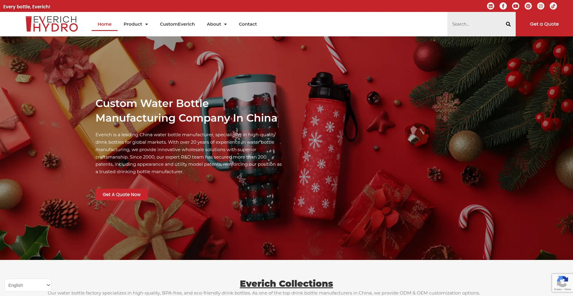 Website screenshot of Everichhydro.com