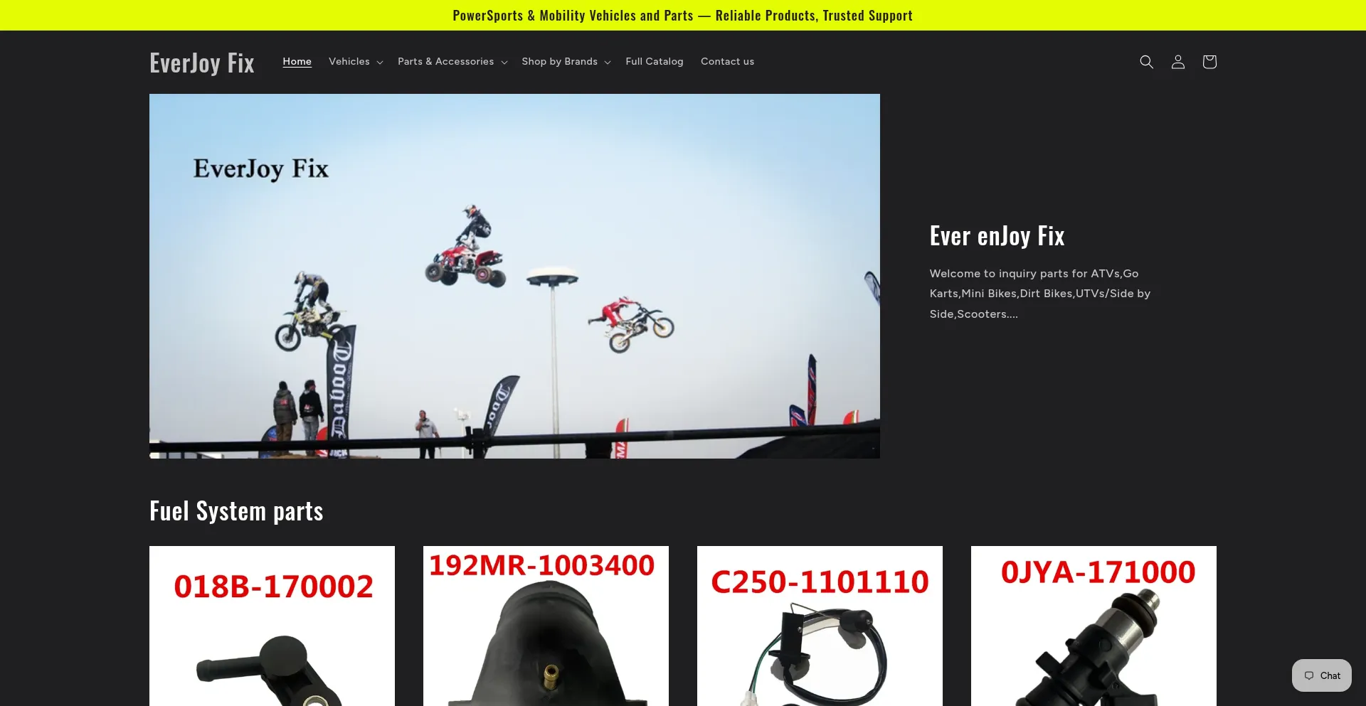 Everjoyfix.com