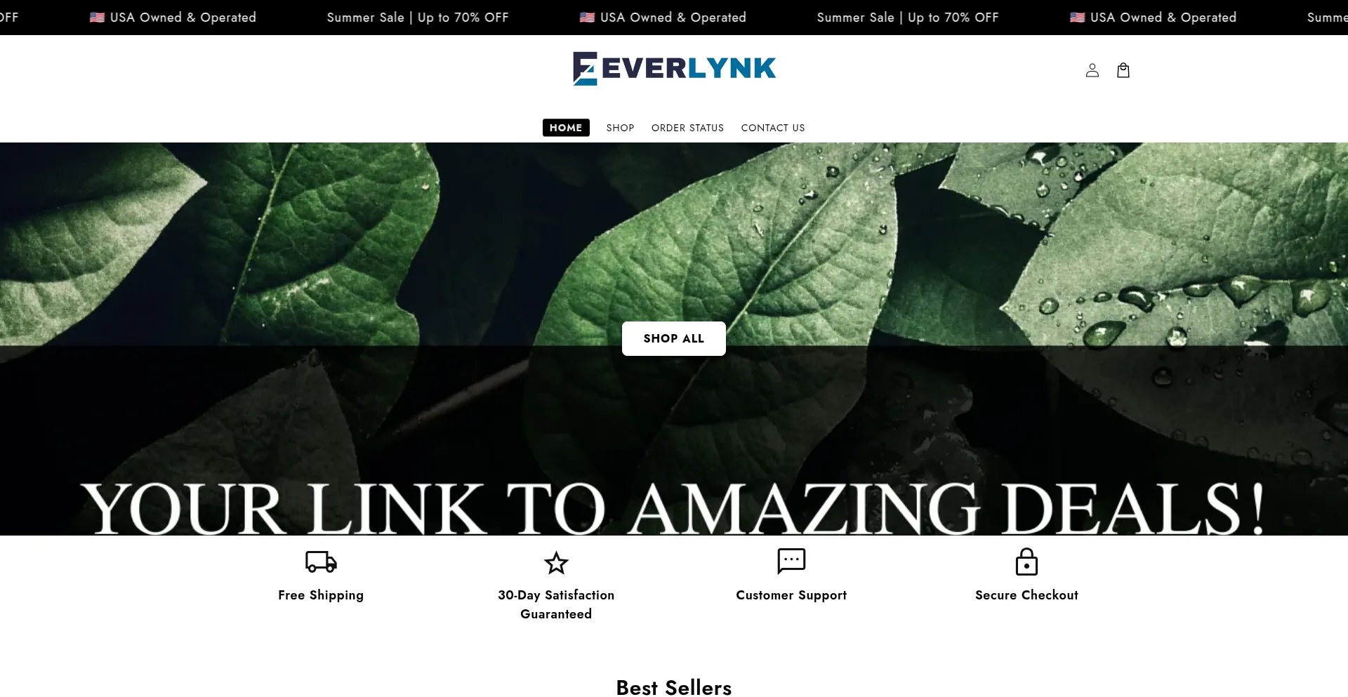 Everlynkstore.com