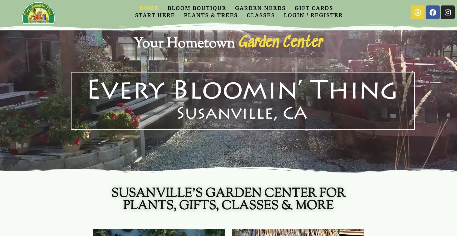 Website screenshot of Everybloomin.com