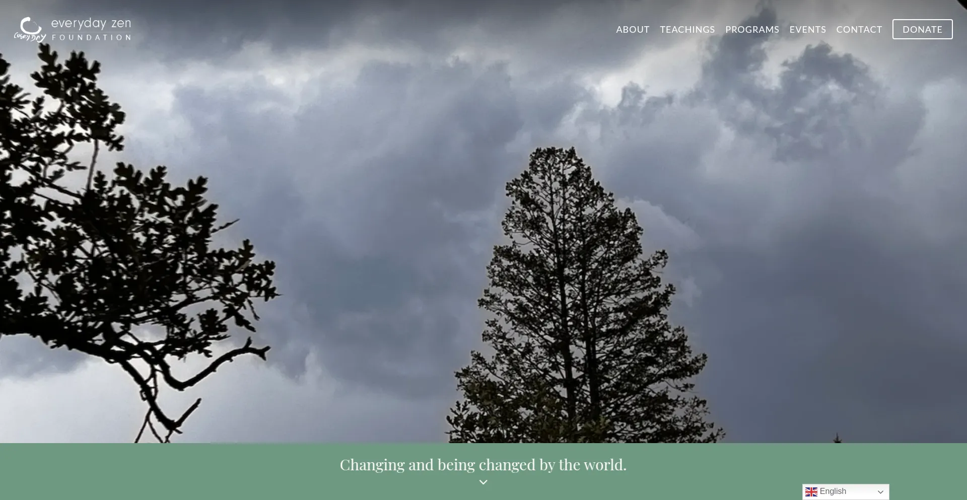 Website screenshot of Everydayzen.org