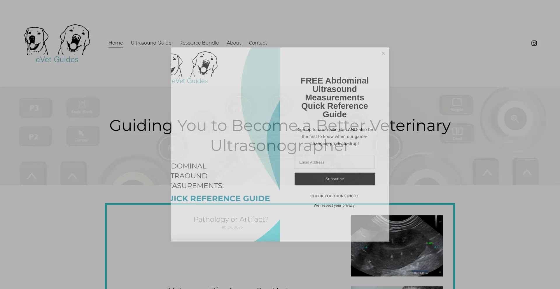 Website screenshot of Evetguides.com