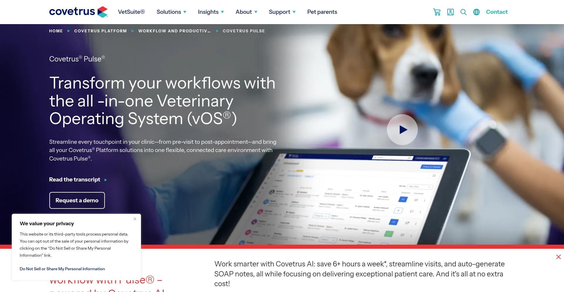 Website screenshot of Evetpractice.com