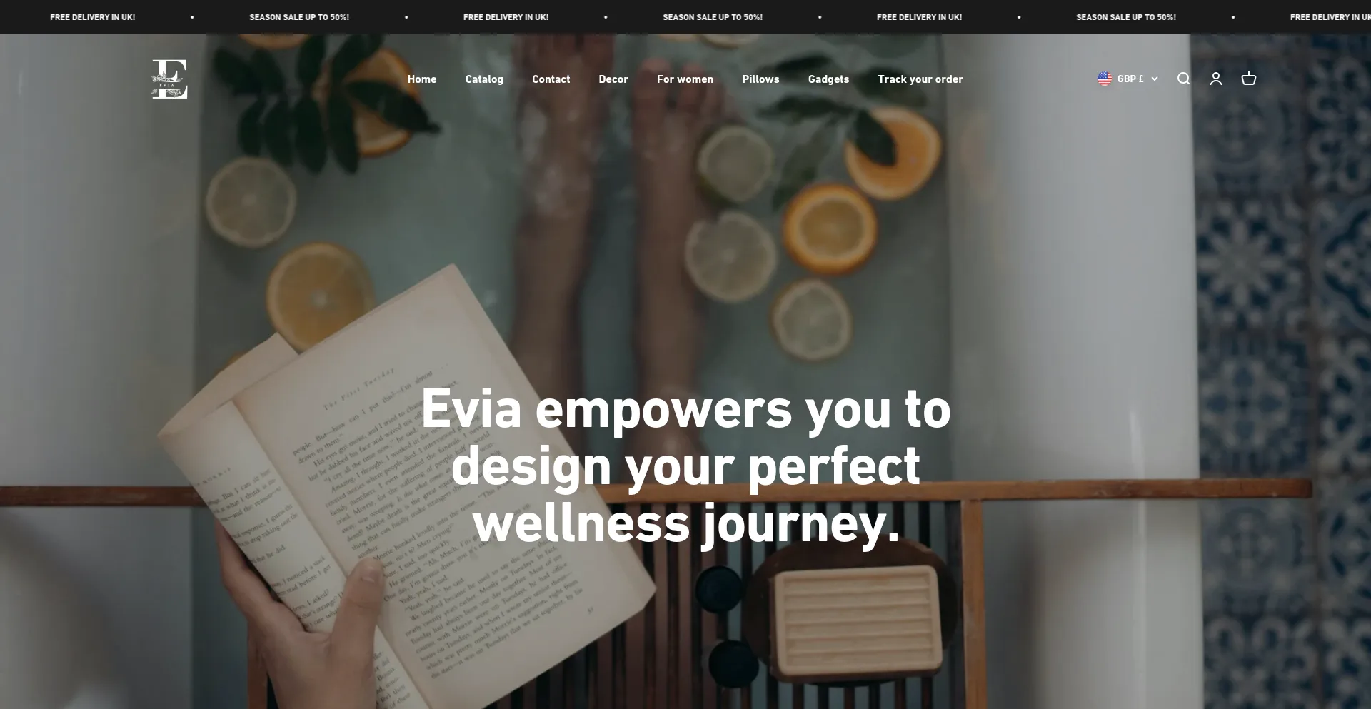 Website screenshot of Evia-uk.com