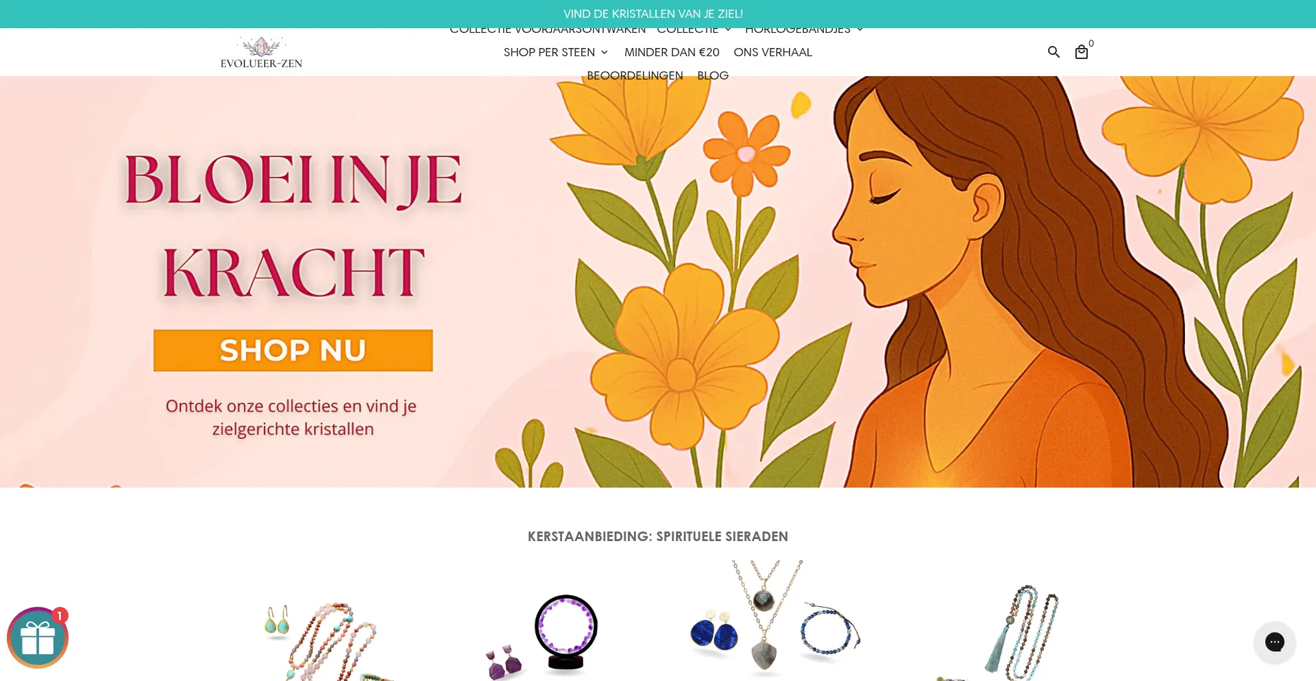 Website screenshot of Evolueer-zen.com