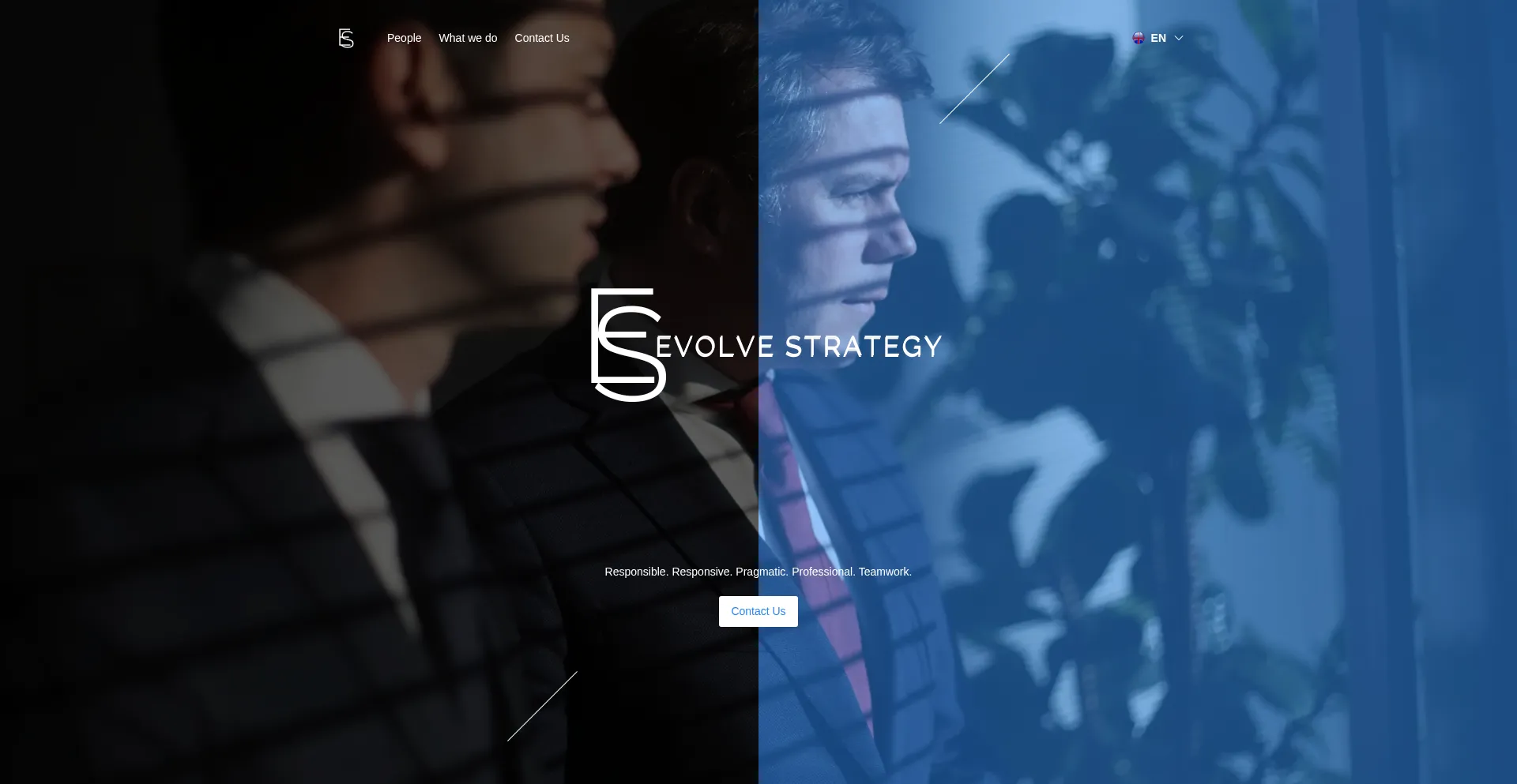 Evolvestrategy.cc