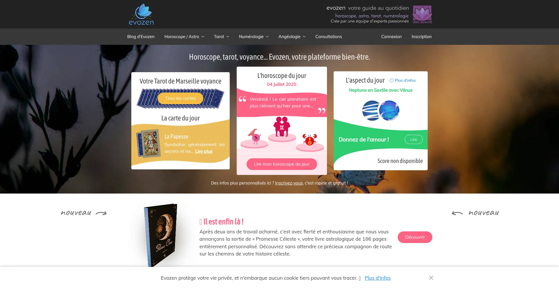 Website screenshot of Evozen.fr