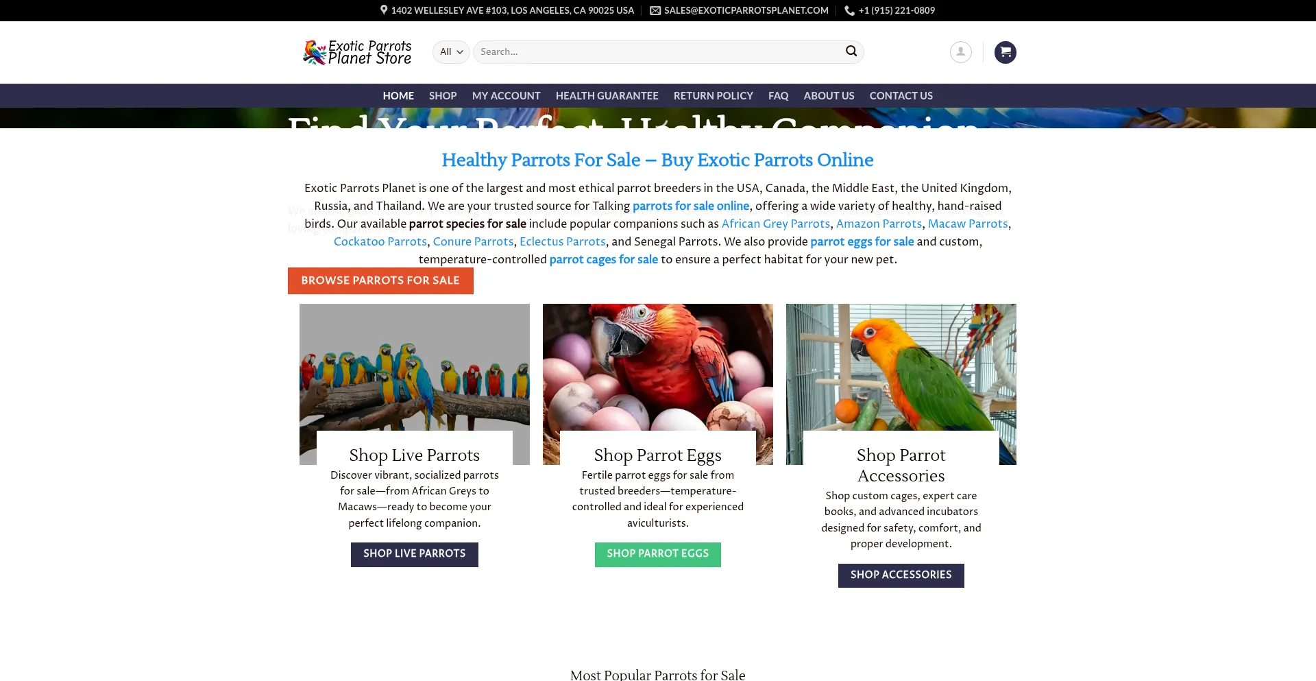 Exoticparrotsplanet.com