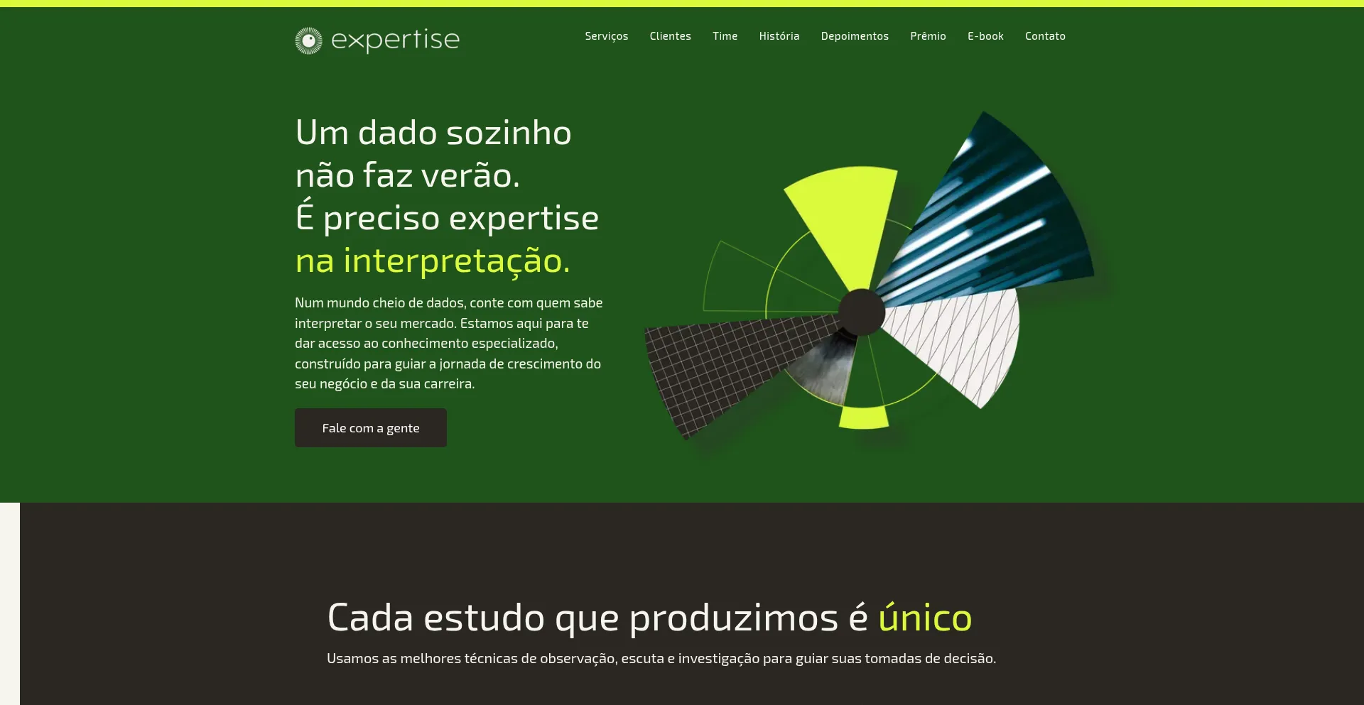 Website screenshot of Expertise.net.br