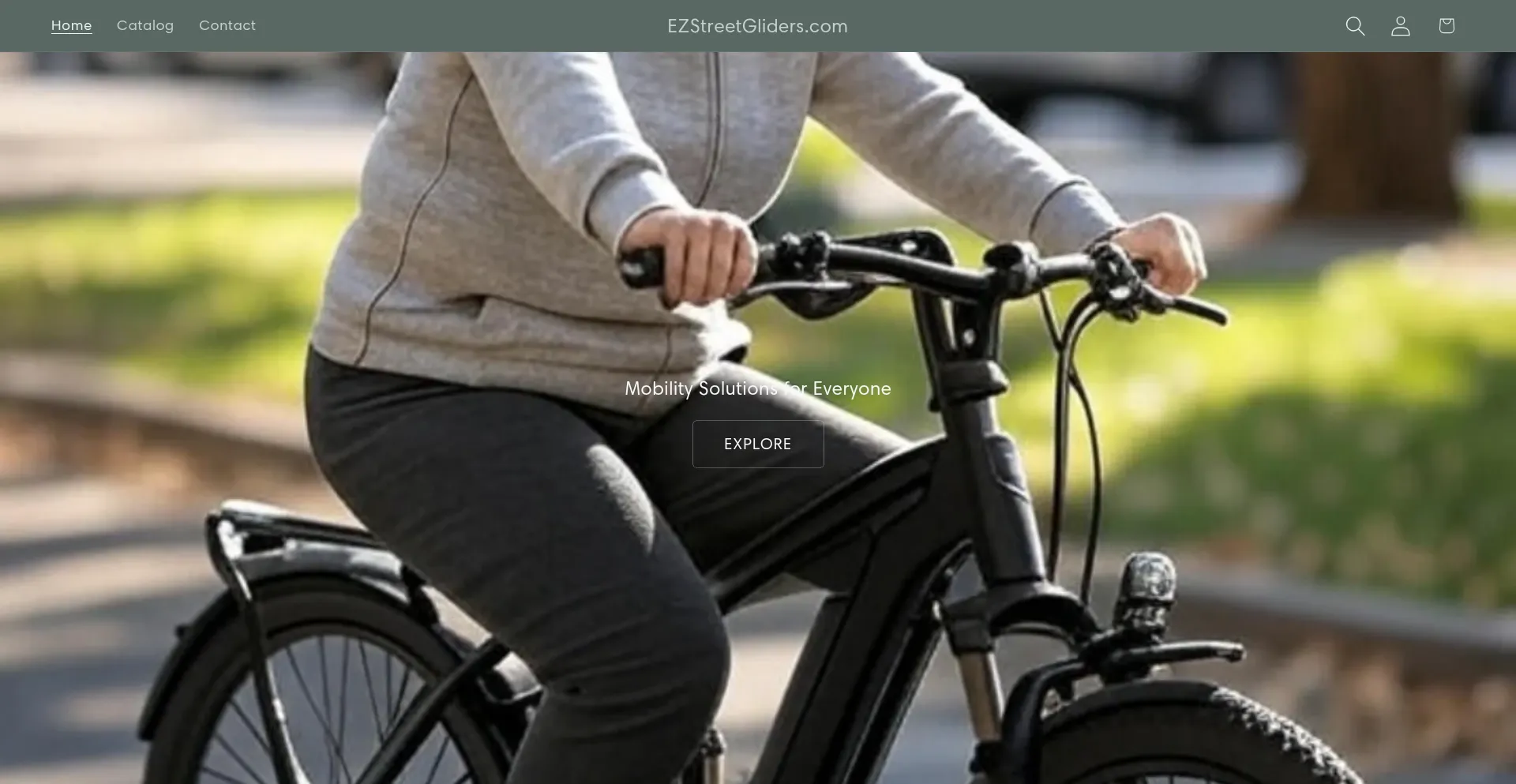 Website screenshot of Ezstreetgliders.com