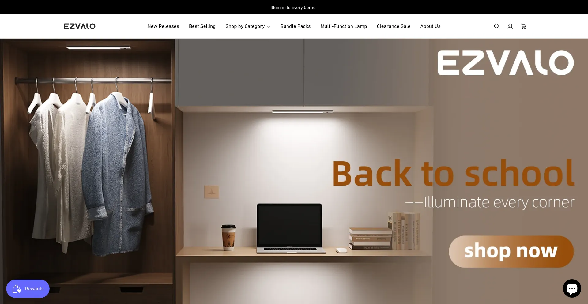 Website screenshot of Ezvalo.com