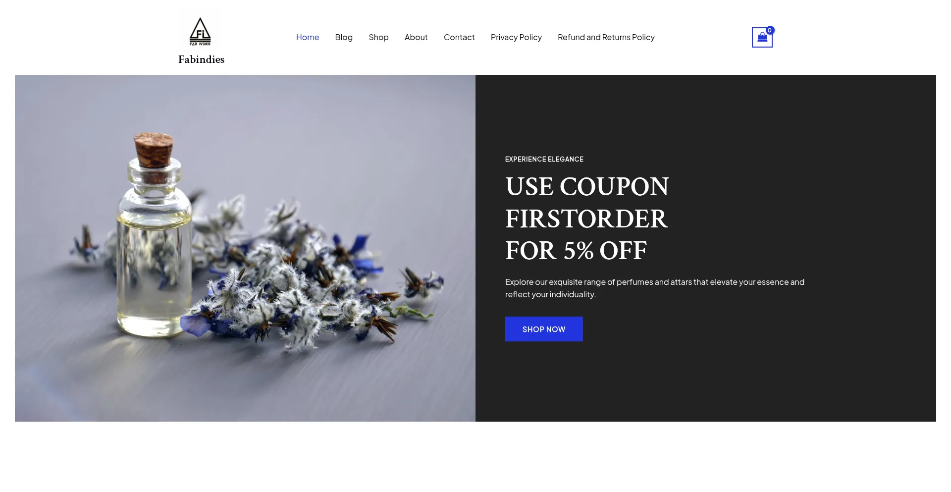 Website screenshot of Fabindies.shop